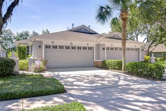 6030 Sandhill Ridge Dr, Lithia, FL 33547