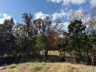 86 Summer Sky Dr, Greenbrier, AR 72058