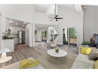 65 Peakview Rd, Nederland, CO 80466