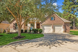 22415 Pine Tree Dr, Tomball, TX 77377