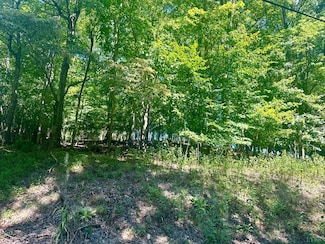 0 Whisperwood Ln Unit 354733, Moneta, VA 24121