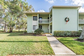 232 Caryl Way Unit 232, Oldsmar, FL 34677