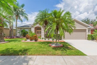 4509 River Close Blvd, Valrico, FL 33596