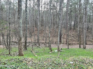 0 Butler Rd, Decatur, TN 37322