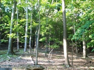 CN Lot 005 Iroquois Cir, Black Creek Township, PA 18202