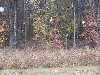TDB Sueola Beach Rd Unit Lot 2, Hertford, NC 27944
