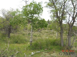 17123 Js Rd, Glade Park, CO 81523