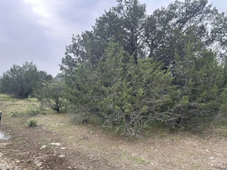 0 County Road 611 Unit 41931775, Brownwood, TX 76801