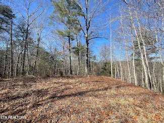 197 Terrapin Dr, Turtletown, TN 37391