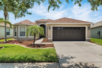 13910 Chalk Hill Place, Riverview, FL 33579