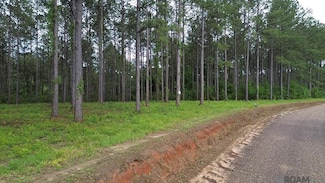 Tract B Monroe Stevens Rd, Kentwood, LA 70444