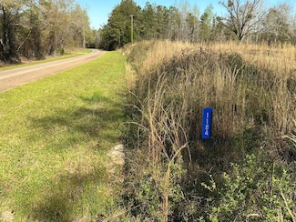 1184 Lower Lumpkin Rd, Georgetown, GA 39854