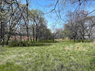 3.14 acres Highway 101, Rogersville, AL 35652