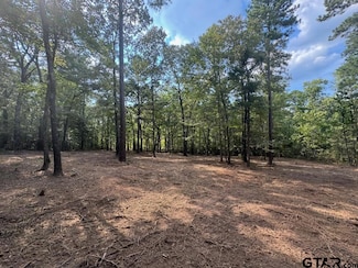 20381 Farm To Market 16 E, Winona, TX 75792