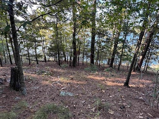 Lot 22 Island Shores Dr, Drasco, AR 72530