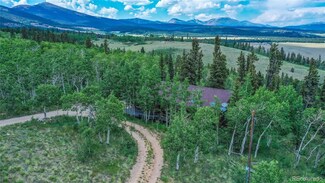 271 Sheep Ridge Rd, Fairplay, CO 80440
