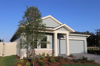 6051 Sacred Oak Ave, Mount Dora, FL 32757