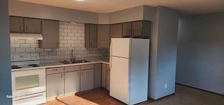 102 Lake Ave S Unit 4, Spicer, MN 56288