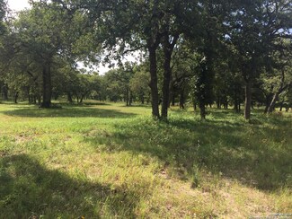 195 Longhorn Rd, Stockdale, TX 78160