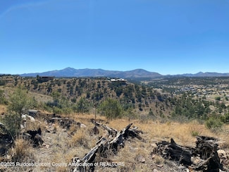 Lot 11B Lincoln Hills Dr, Alto, NM 88312