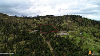 T11N Potter Heights Dr, Anchorage, AK 99516