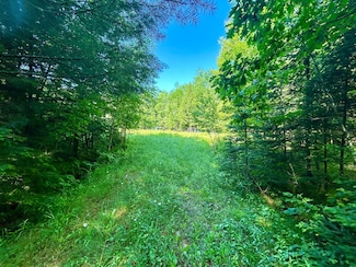 ON Johnson Rd Unit 40 ACRES, Nashville, WI 54520
