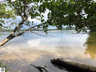 Parcel C S Rolland Rd, Lake Isabella, MI 48893