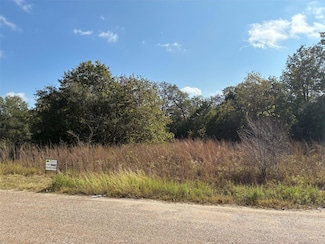 167 Blanket Flower Dr, Camp Swift, TX 78602