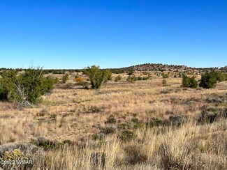 0 SW Centennial Blvd Unit 243600, Snowflake, AZ 85937