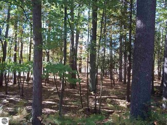000 Wilber Rd, East Tawas, MI 48730