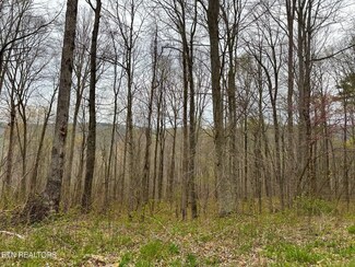 0 Apache Rd Unit RTC2642058, Jamestown, TN 38556
