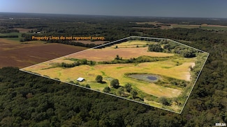 000 N Tallowtree Dr, Songer Township, IL 62899