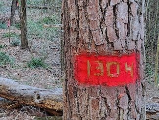 TBD - Lot 1304 Hanauma Dr, Bastrop, TX 78602