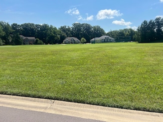 V/L Dickinson Ct, Royalton Township, MI 49085