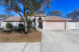 10215 Evening Trail Dr, Riverview, FL 33569