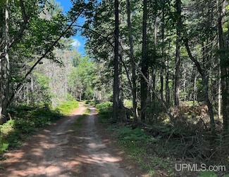 TBD Willow Creek Rd 10 Acres Sec34 Rd, Ishpeming, MI 49849