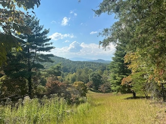 1067 Laurel Springs Rd, Mineral Bluff, GA 30559