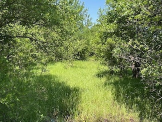 21 SW County Rd, Corsicana, TX 75110