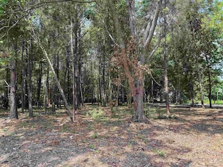 2 Lots - TBD S Rosemary Ave, Andrews, SC 29510
