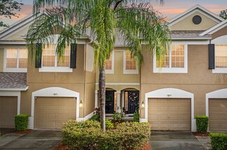 6611 Shining Sun Ct, Tampa, FL 33634