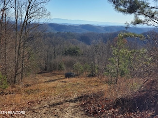 0 Poor Valley Unit 1287189, Rutledge, TN 37861