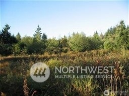 0 Avery Rd E, Chehalis, WA 98532