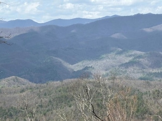 Lot 45 Timberwood Dr, Murphy, NC 28906