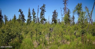 C24-25 Alaskan Wildwood Ranch (R), Nikolaevsk, AK 99556