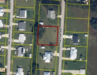 11551 SW Pine Ave, Arcadia, FL 34269