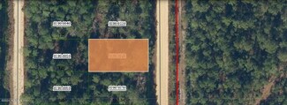 00 Stuart Ave, Interlachen, FL 32148