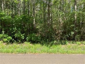0 Bruhl Rd, Folsom, LA 70437
