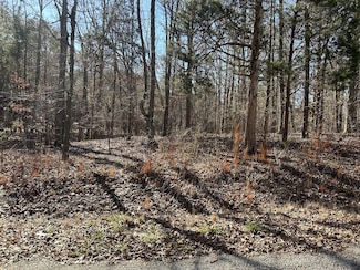 0 Greenmeadow Dr, Big Sandy, TN 38221