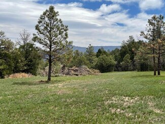 33817 Turkey Creek Ln Unit B 67, Trinidad, CO 81082