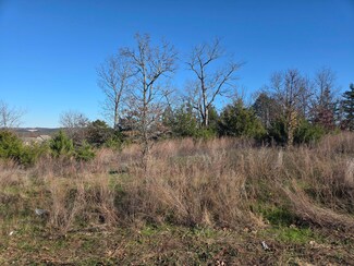 112 Black Forest Ln, Branson West, MO 65737